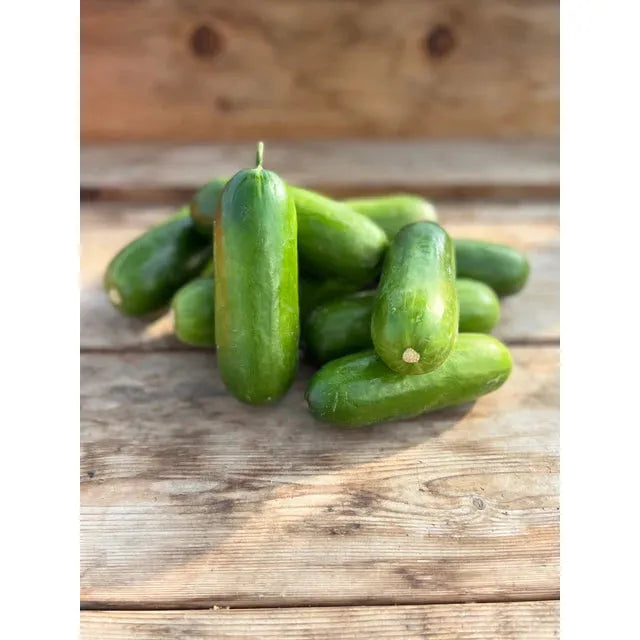 West Coast Seeds Cucumbers - Mini-Me F1 Organic 10 Seeds