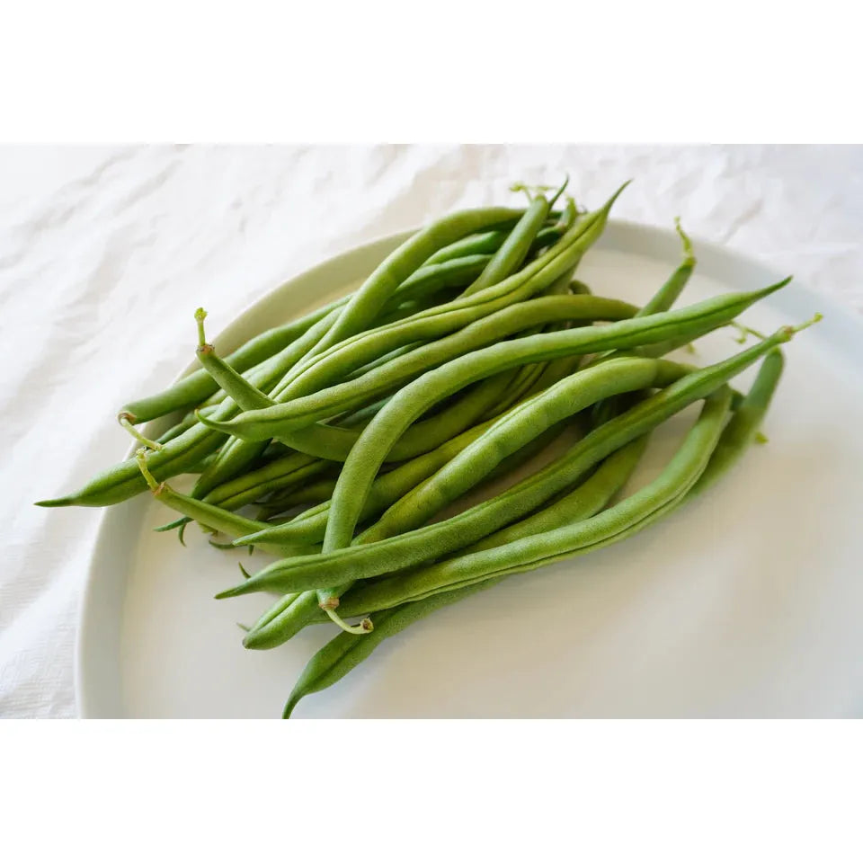West Coast Seeds Beans - Goliath Organic 20g