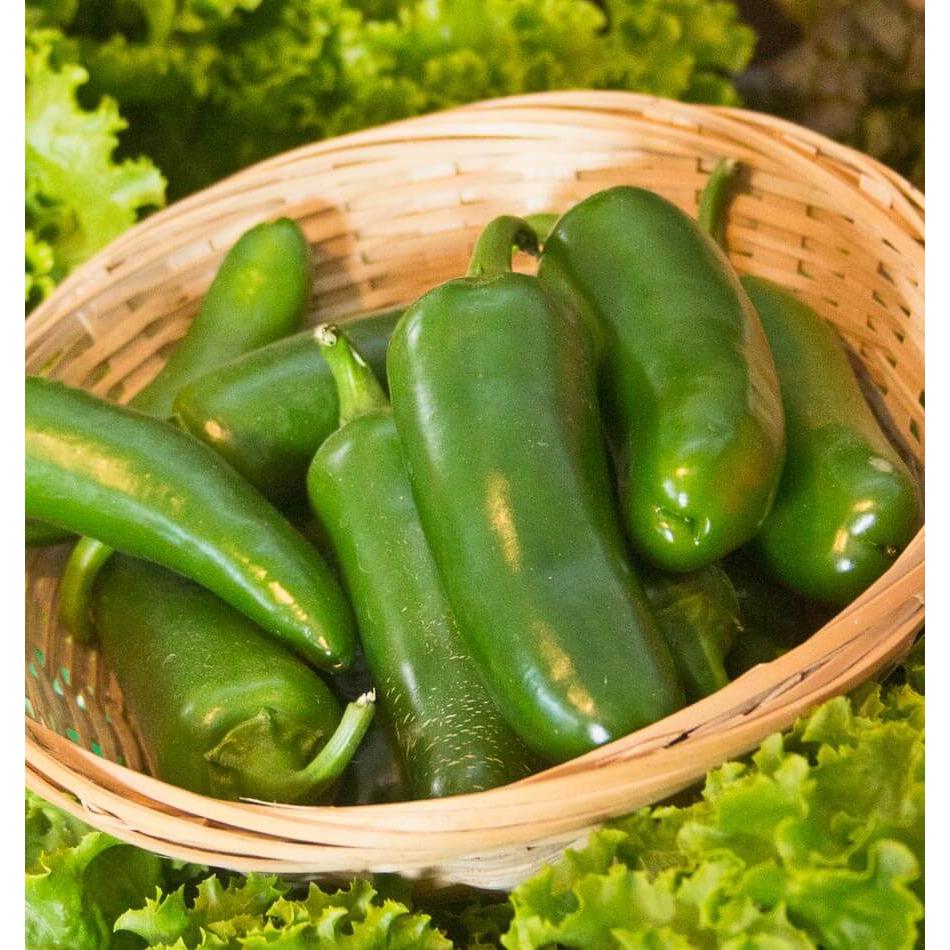 West Coast Seeds Vegetable - Pepper-Hot - Jalapeno 0.25g
