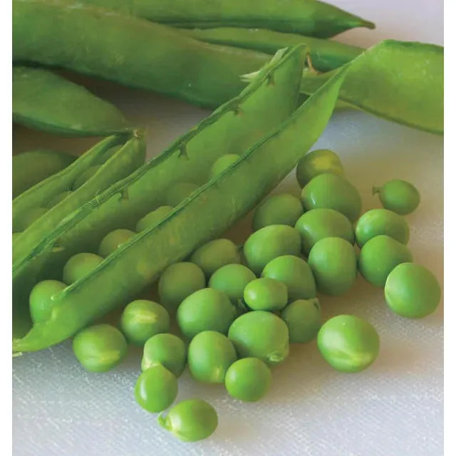 West Coast Seeds Vegetable Seeds - Peas - Green Arrow 20g