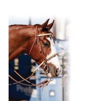 Professionals Choice Braided Rawhide Double Rope Noseband