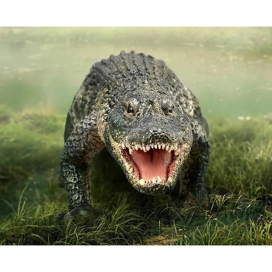 Breyer American Alligator
