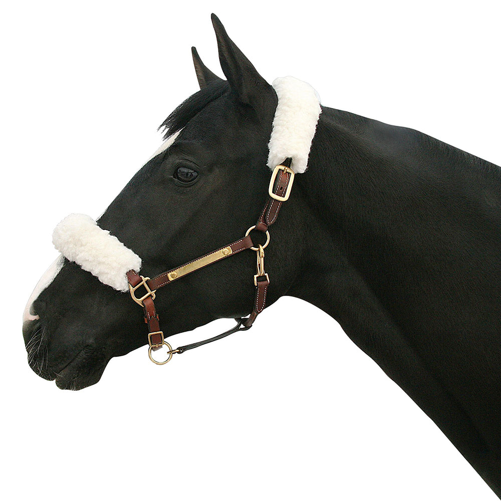 Back on Track Halter Cover