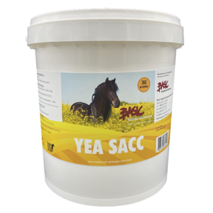Basic Equine Yea Sacc 5KG
