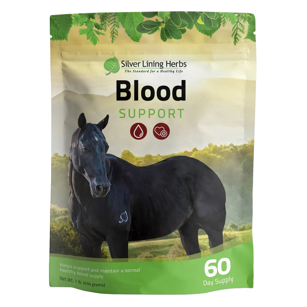 Silver Lining Herbs Blood Support-1LB