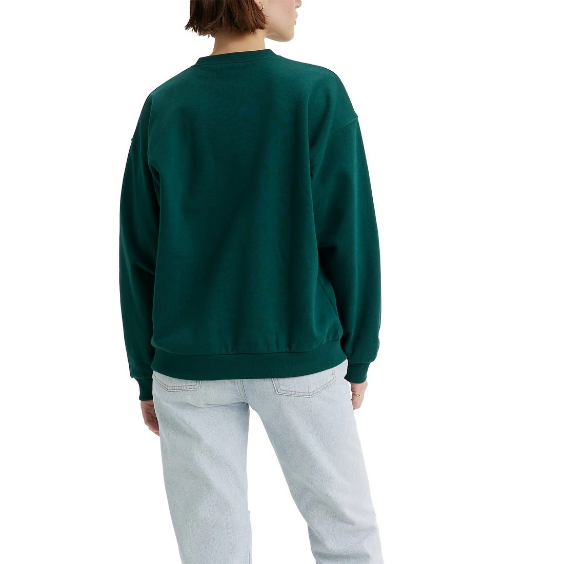 Levi Graphic Salinas Crew Mountain Top Crew - Teal