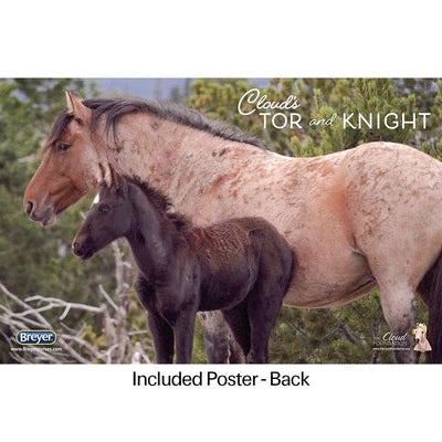 Breyer Kid's Encore & Tor Gift Set