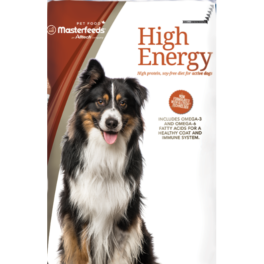 Dog food for high energy dogs online