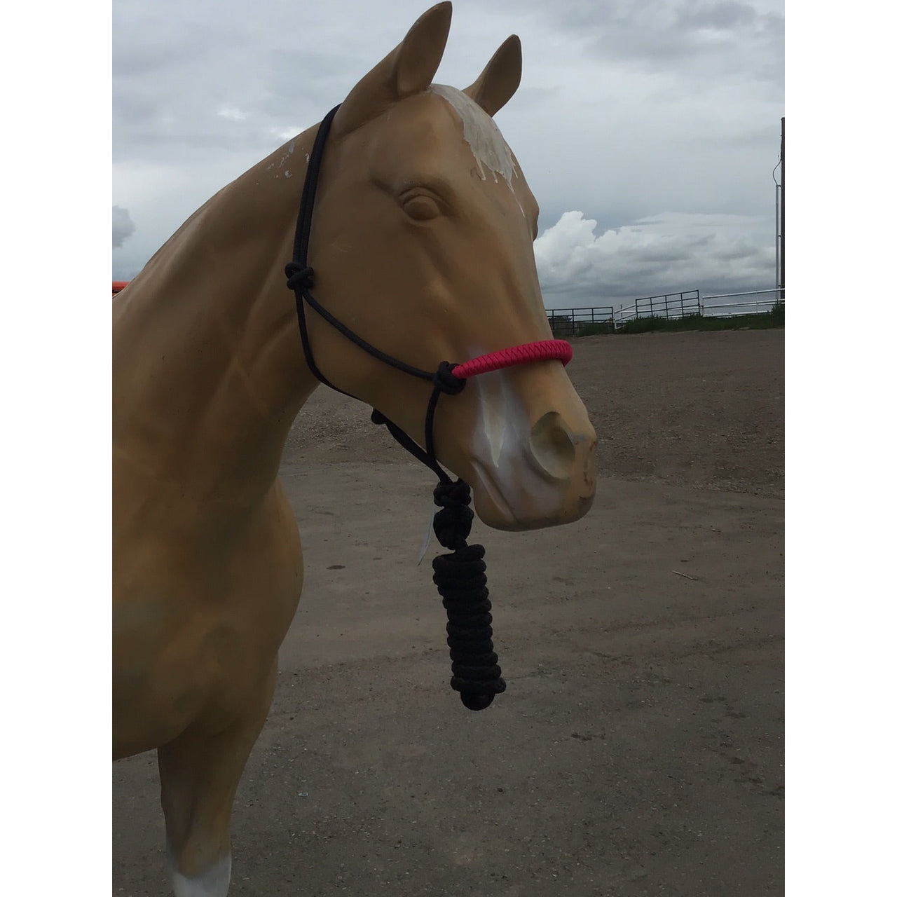 Irvine's Two-Tone Rope Halter w/ 8' Lead