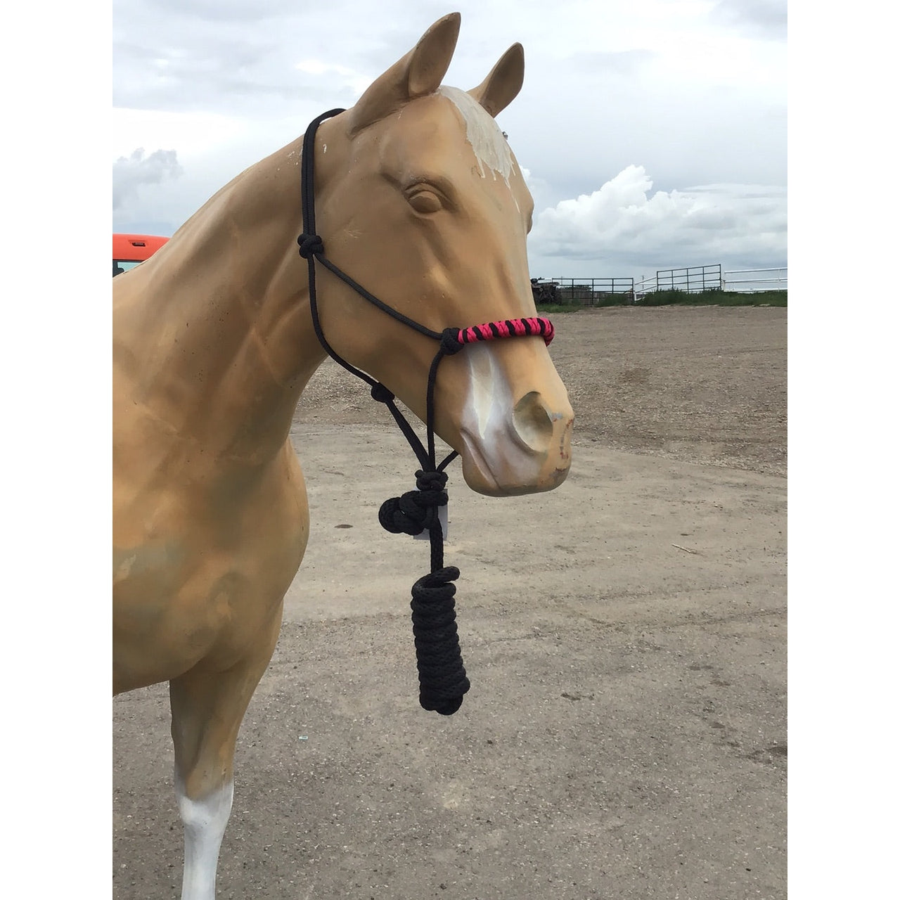 Irvine's Two-Tone Rope Halter w/ 8' Lead