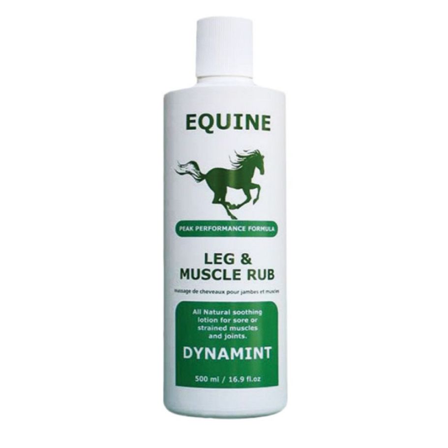 Dynamint Equine Leg and Muscle Rub 40ml