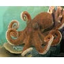 Breyer Kid's Collecta Octopus