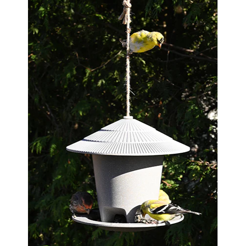 Eco Forage Bird Feeder