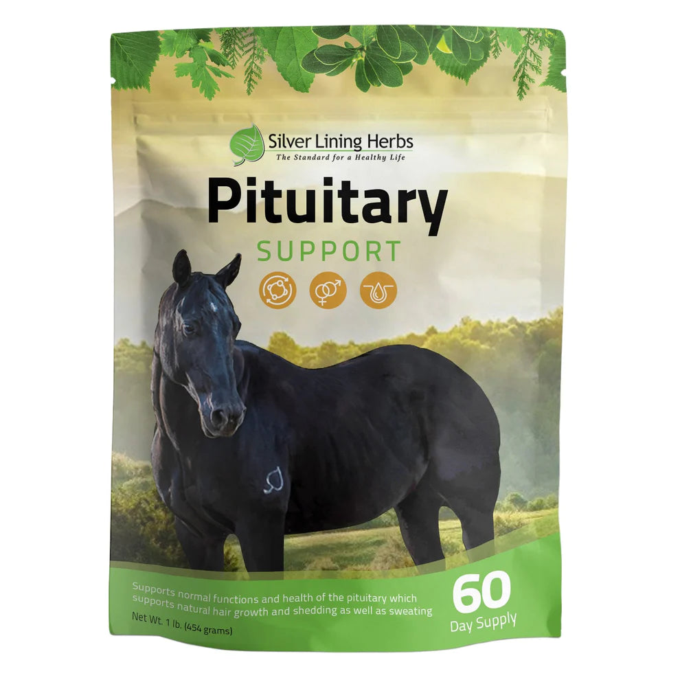Silver Lining Herbs Pituitary Support 