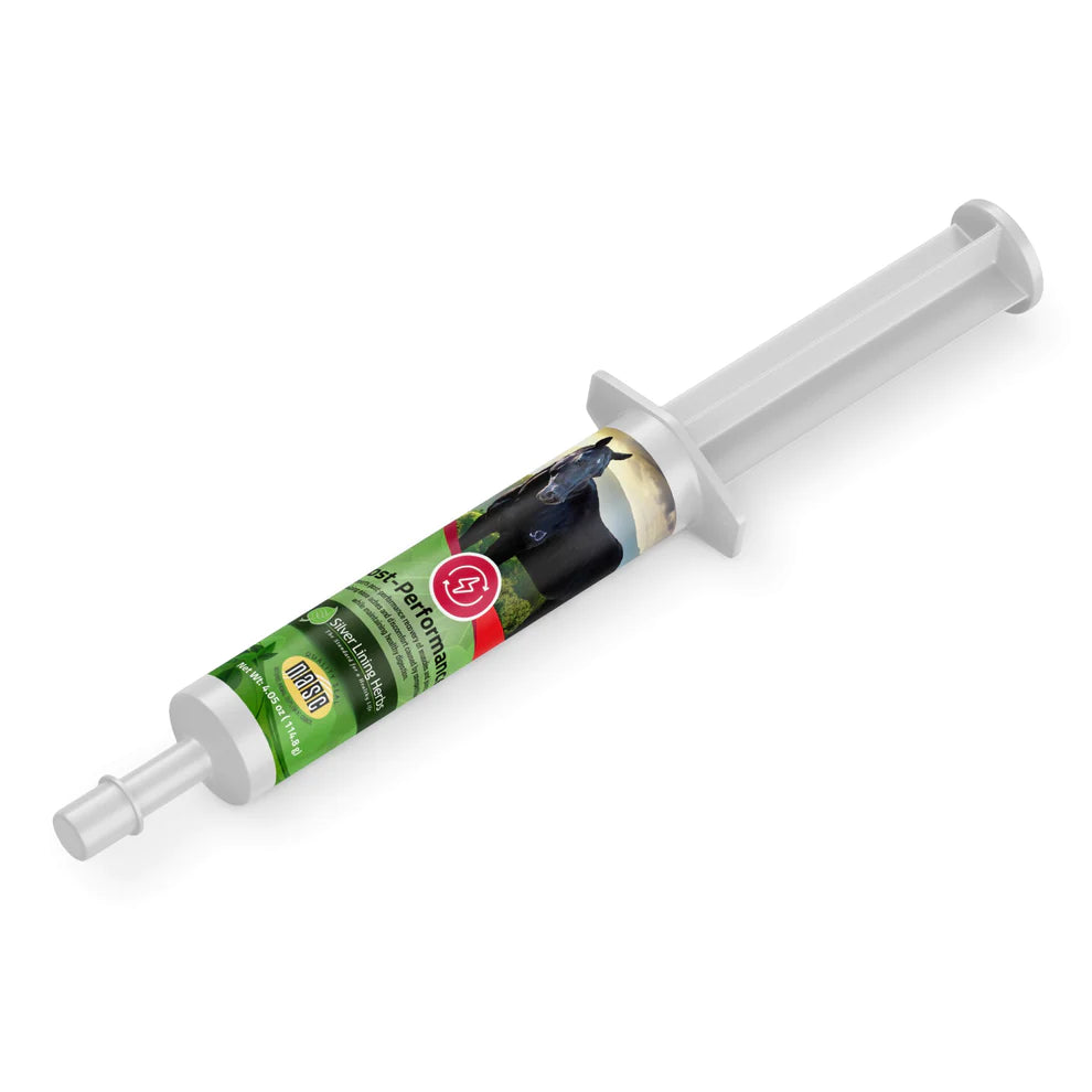 Silver Lining Post Performance Paste for Horses