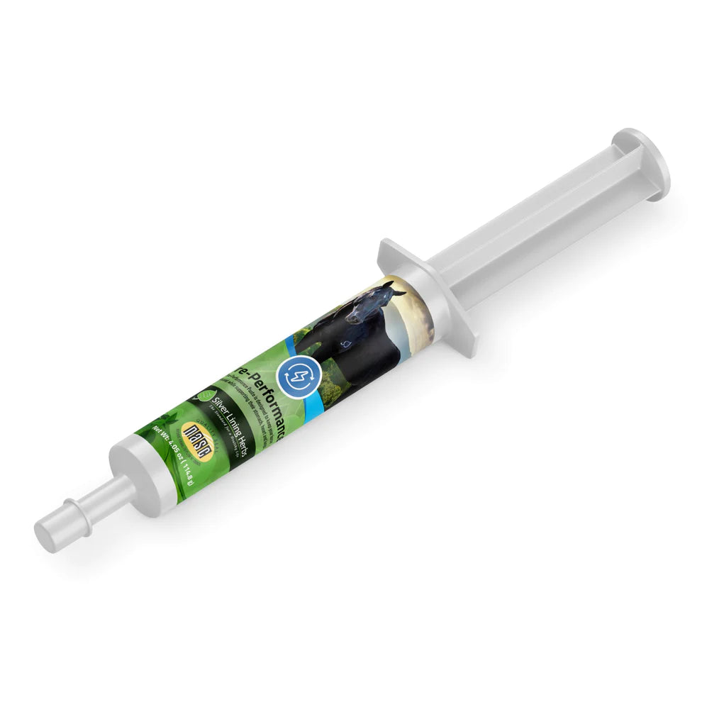 Silver Lining Pre-Performance Paste for Horses