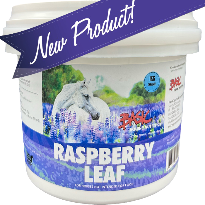 Basic Raspberry Leaf 1 KG