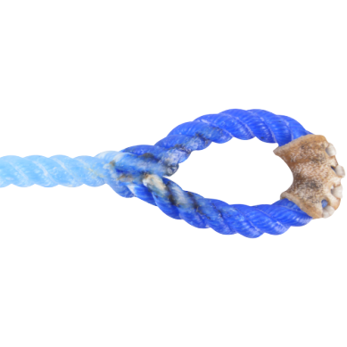 Blue Racer Calf String - Small