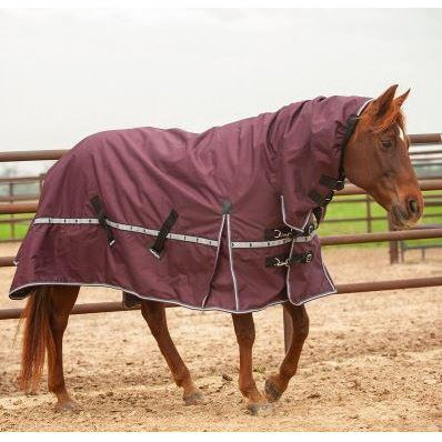 Classic Equine X Trainer 5K Blanket w/Hood
