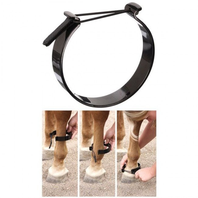 Pawing Anklet Mini Horse
