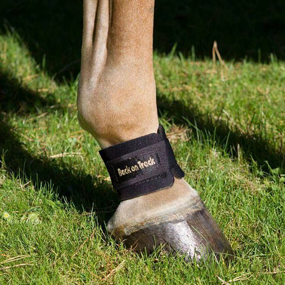 Back On Track Pastern Wrap