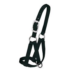 Weaver Llama Halter, 3/4" Medium/Large - Irvine Tack & Western Wear