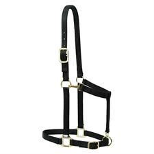 Weaver Leather Nylon Adjustable Draft Horse Halter, 1 1/2" Average Draft