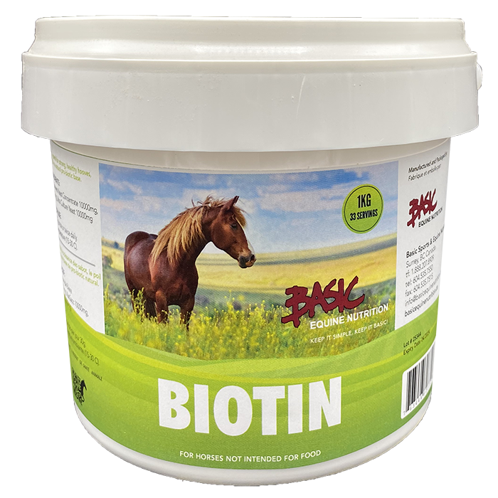 Basic Equine Biotin 5 KG