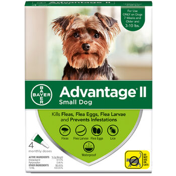 Advantage dog flea best sale