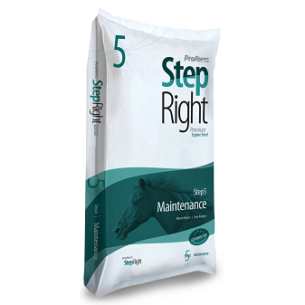 StepRight Step 5 - Maintenance