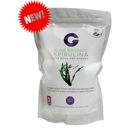 G's Organic Spirulina 1.5KG