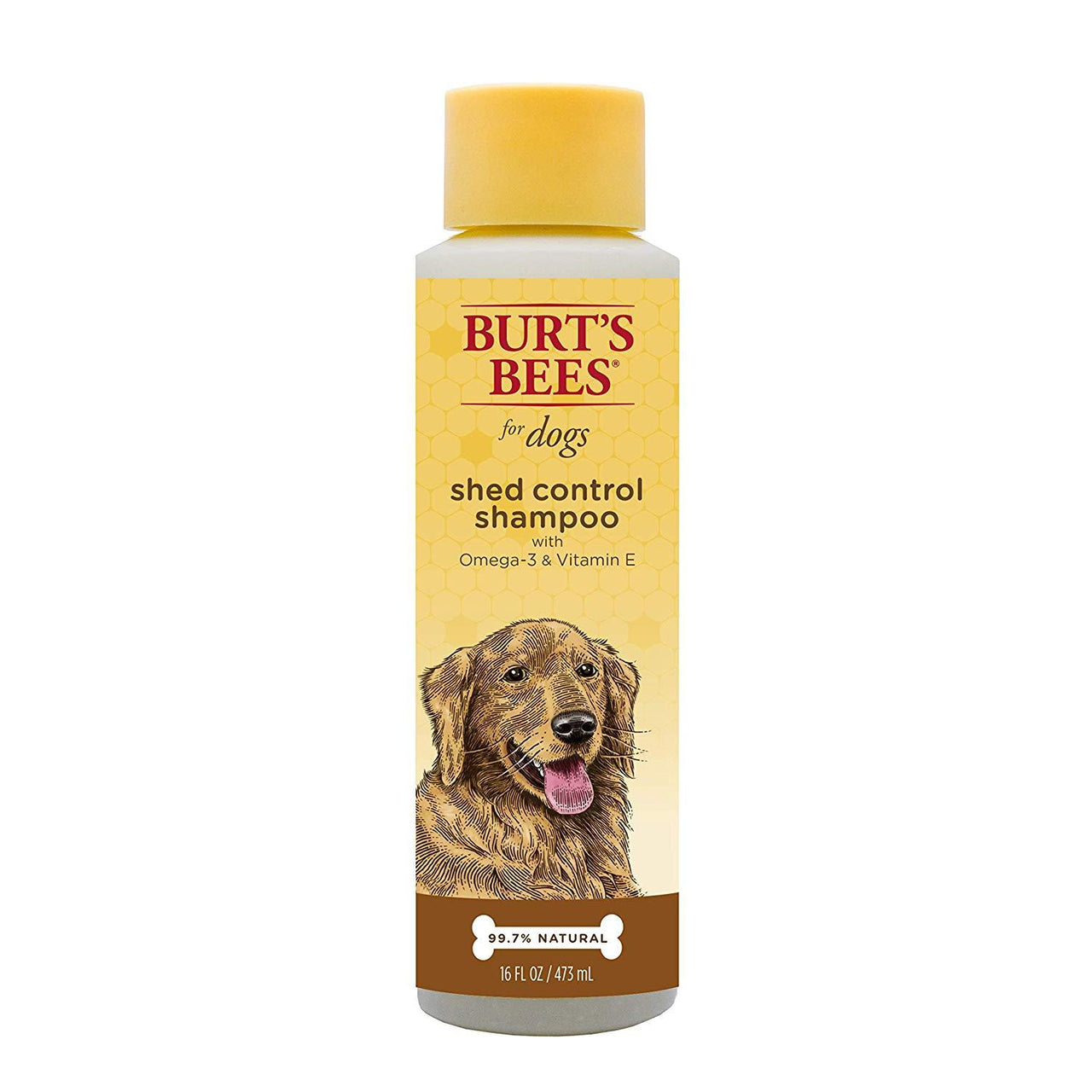 BB Shed Control Shampoo 16oz