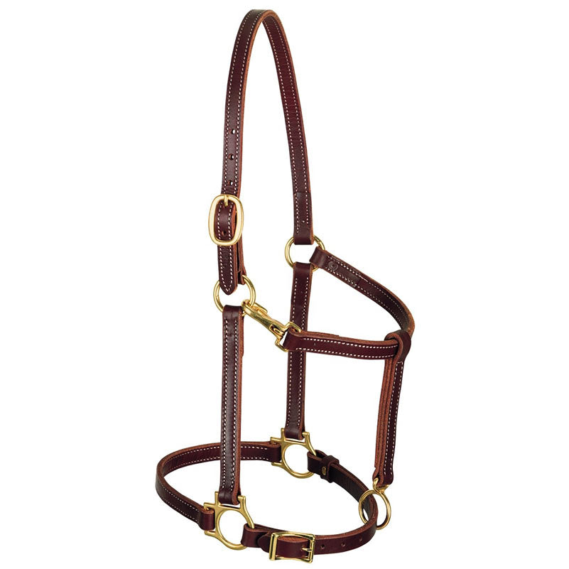 Weaver Leather 3/4" Track Halter Horse - Irvine Tack & Western Wear