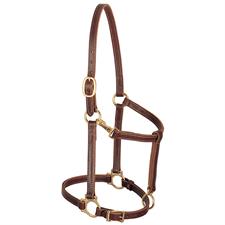 Weaver Leather 3/4" Track Halter Cob