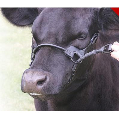 Sullivans 1ST Class Show Halter