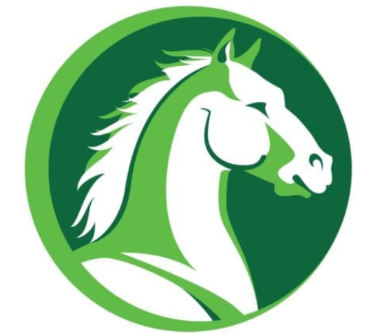 Stance Equine