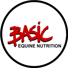 Basic Equine