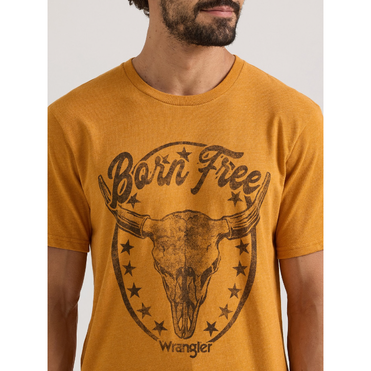 Wrangler® Men's Graphic Short Sleeve T-Shirt - Thai Curry Heather