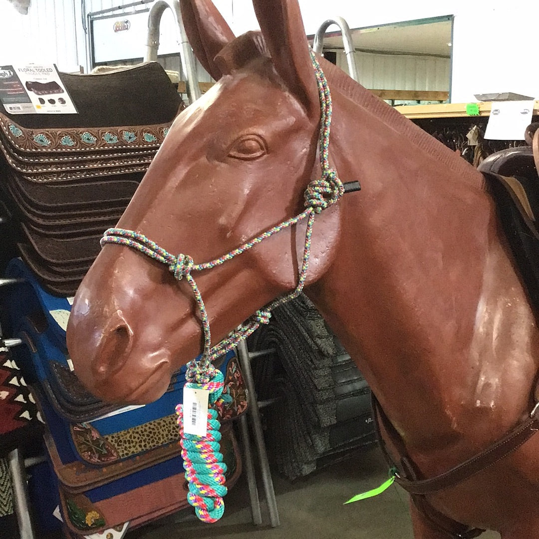 Irvine Diamond Mountain Halter 5/16" w/8' Lead - Irvine Tack & Western Wear