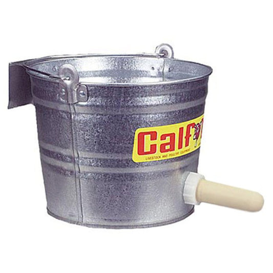 Calf - Teria Pail