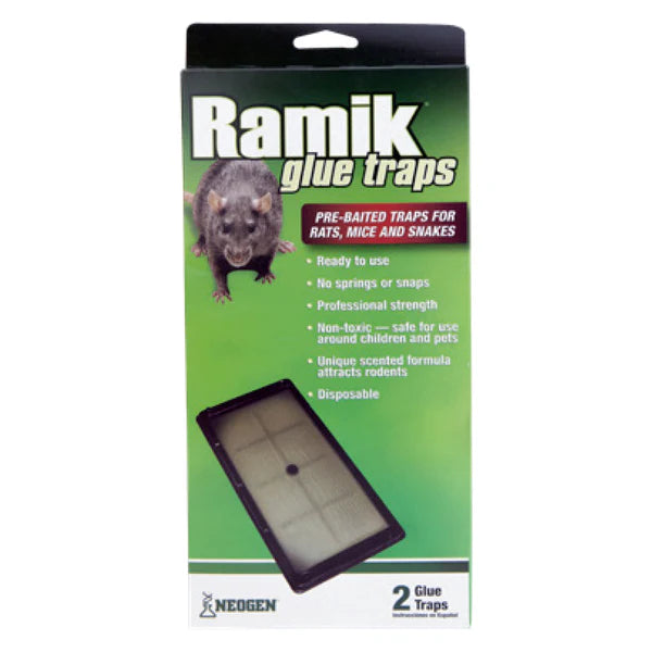 Ramick Rat Glue Traps-2 Pack – Irvine Tack & Western Wear