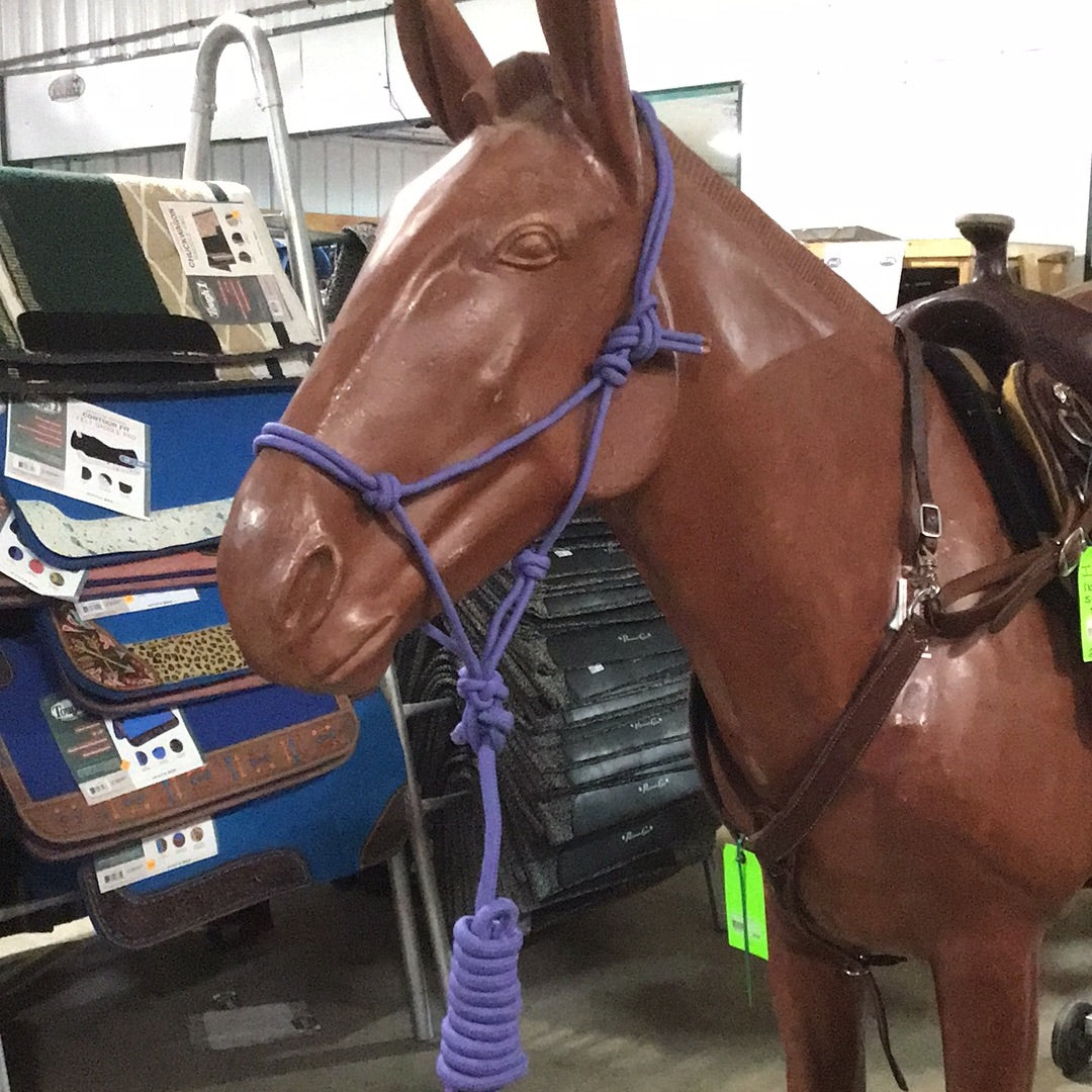 Irvine Rope Halter w/Matching Lead Rope