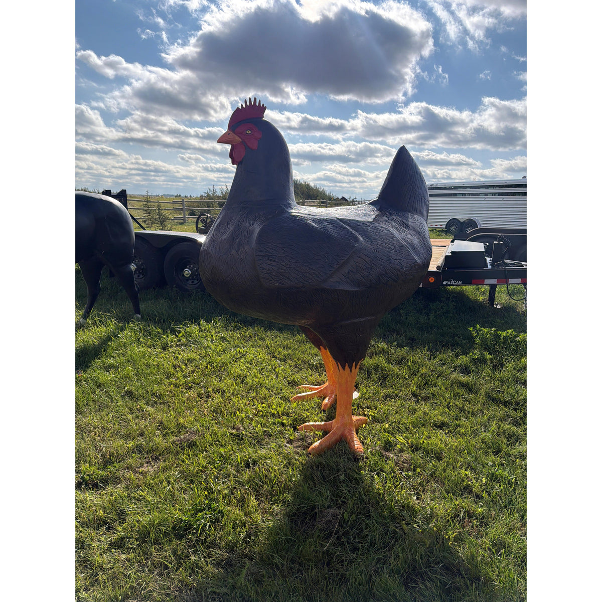 Chicken/Hen-8Ft