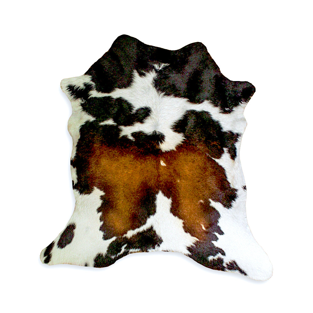 D2W Trading  Hair on Calfskin- Tricolor