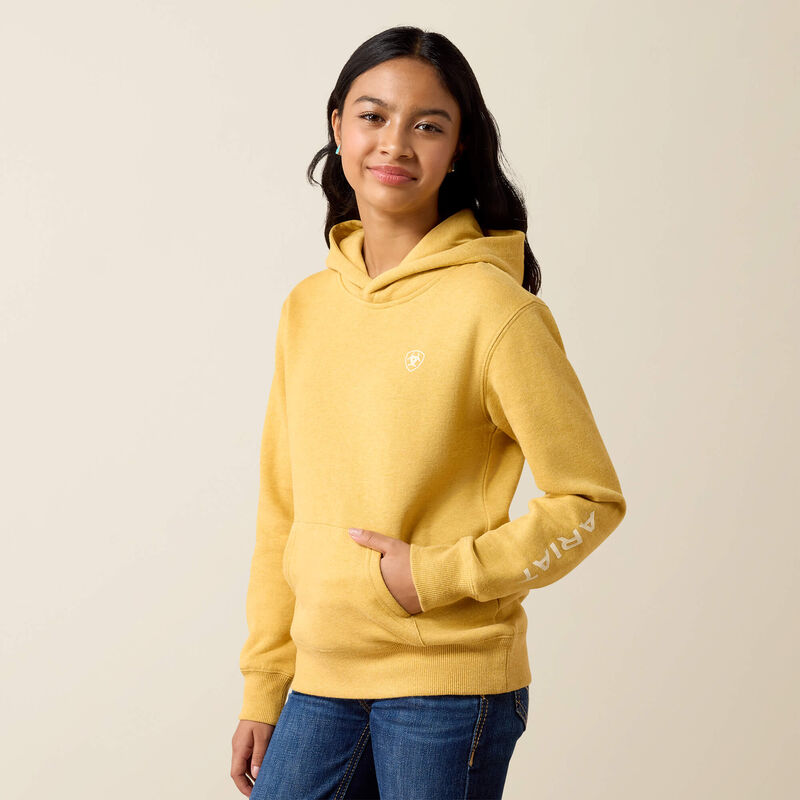 Ariat Youth 2.0 Hoodie - Tinsel Heather