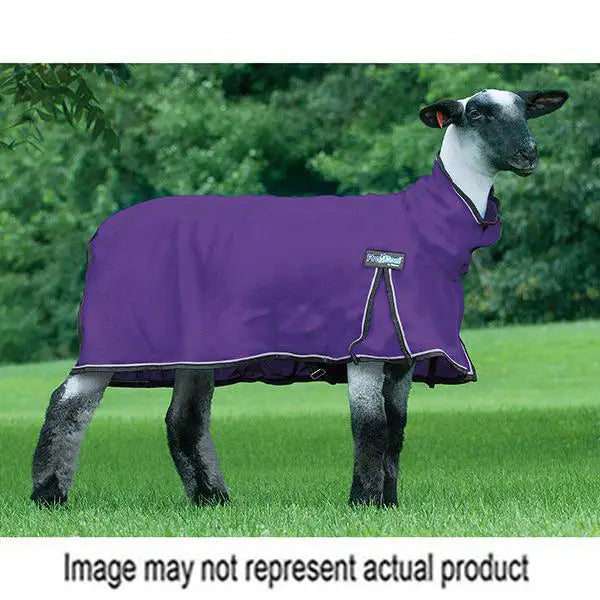 Weaver ProCool™ Sheep Blanket With Reflective Piping-XL-Purple