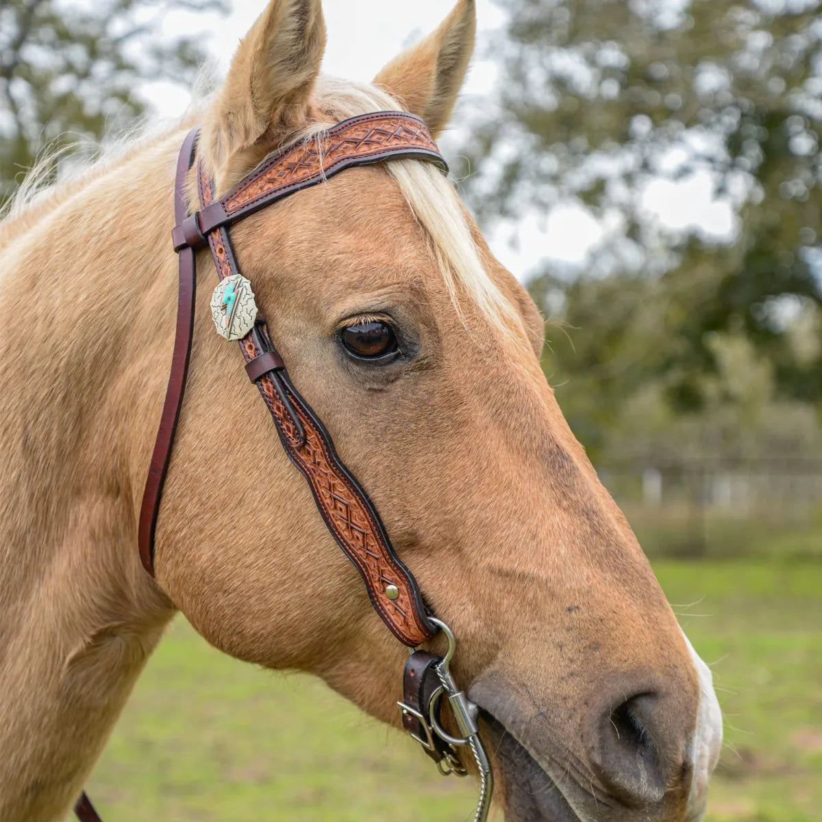 Headstall Montana Vintage