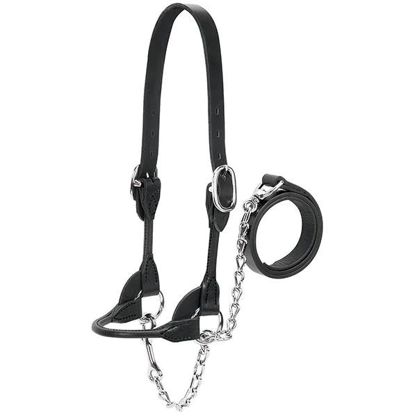 Weaver Leather Dairy/Beef Rounded Show Halter - Black