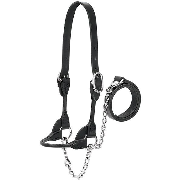 Weaver Leather Dairy Beef Rounded Show Halter