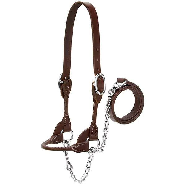 Weaver Leather Dairy/Beef Rounded Show Halter - Brown